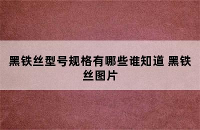 黑铁丝型号规格有哪些谁知道 黑铁丝图片